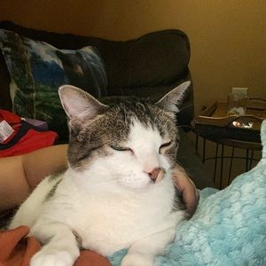 Meet your Posher, Mia